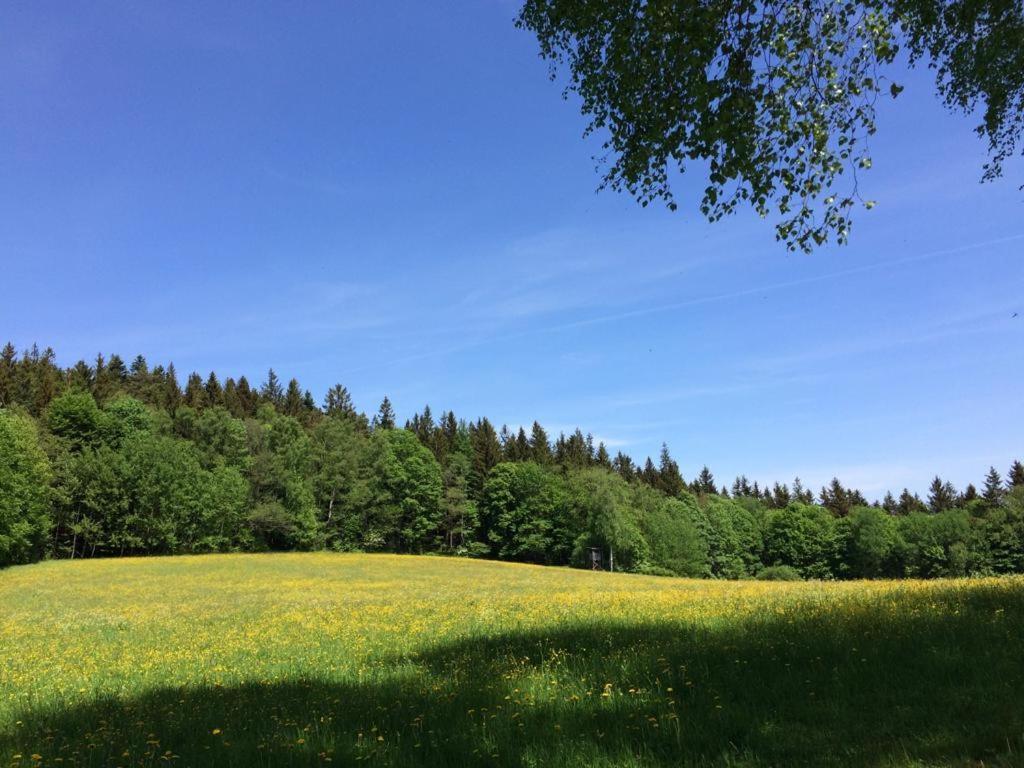 Ferienwohnung Gut Eschlsaign Арах Екстериор снимка