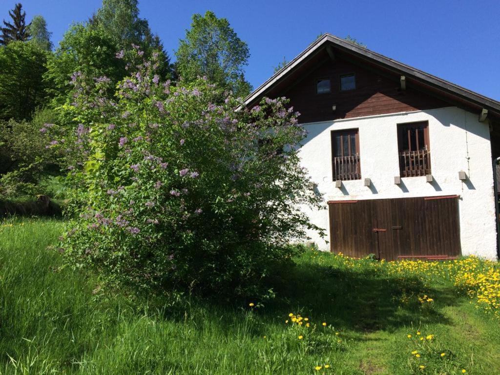 Ferienwohnung Gut Eschlsaign Арах Екстериор снимка